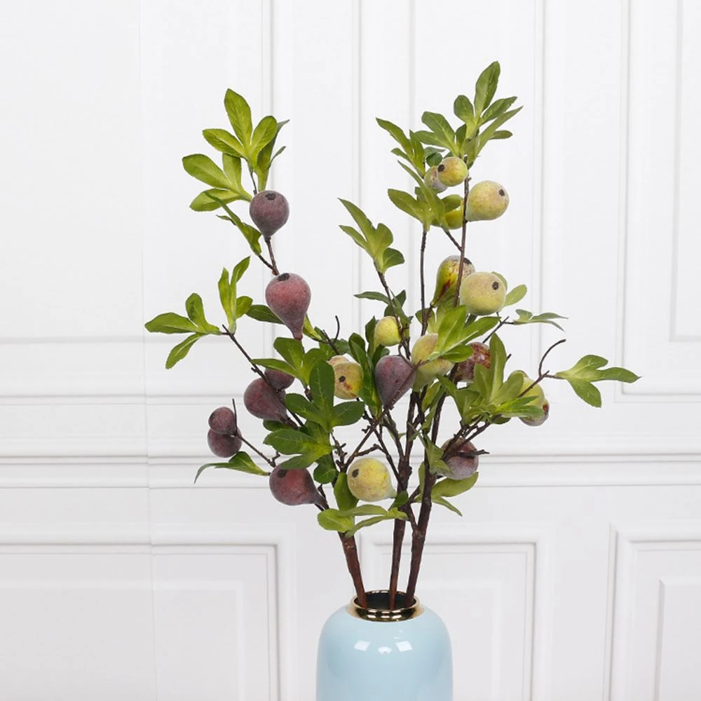 single fig fruits branch arrangement