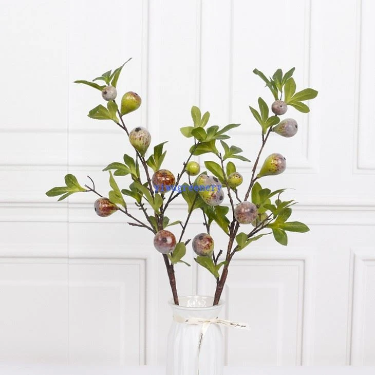 single fig fruit branch