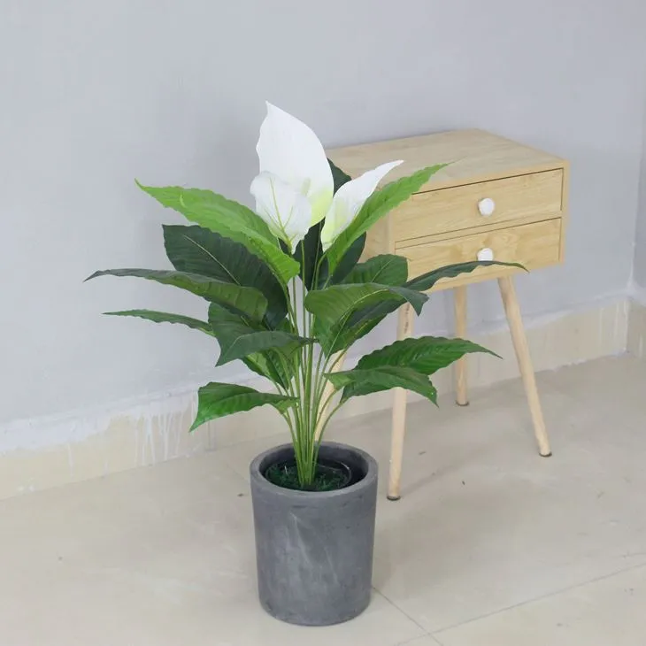 Plantes en test d'espata de lliri blanc artificial