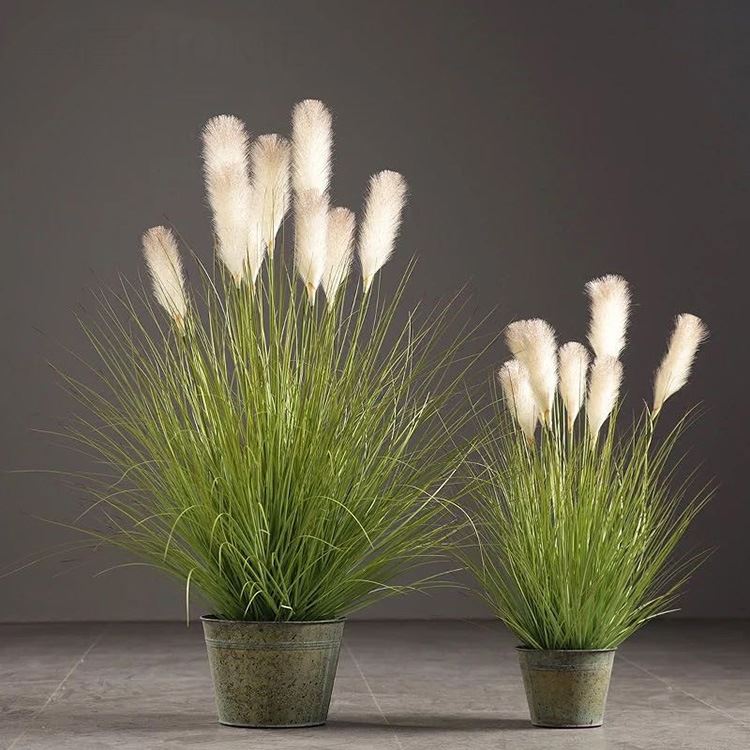 Què és una planta d'imitació