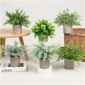 Mini plantes falses en test