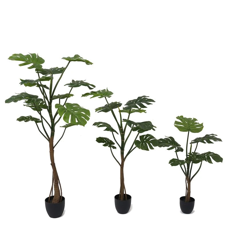Quins són els avantatges de la planta monstera simulada