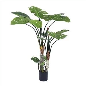 Planta alta falsa de Monstera